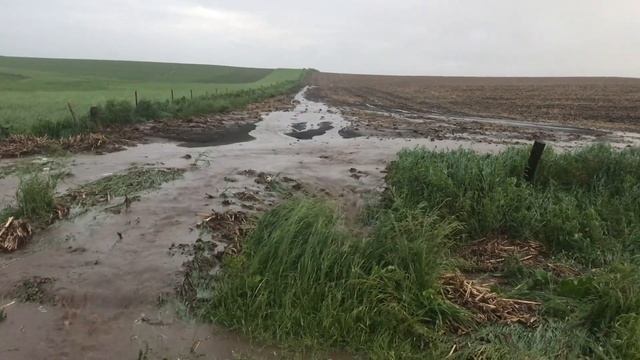 Healthy Soil & Passing it on to the Next Generation смотреть онлайн