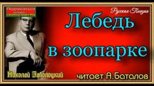 Николай Заболоцкий ,  Лебедь в зоопарке , читает Алексей Баталов