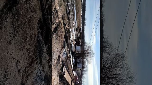 Гуляю