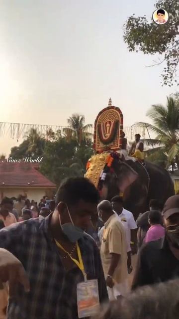 Mangalamkunnu Ayyappan @peringottukara || Nivuz World || #shorts смотреть онлайн