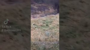 я бы прыгнула в эту реку