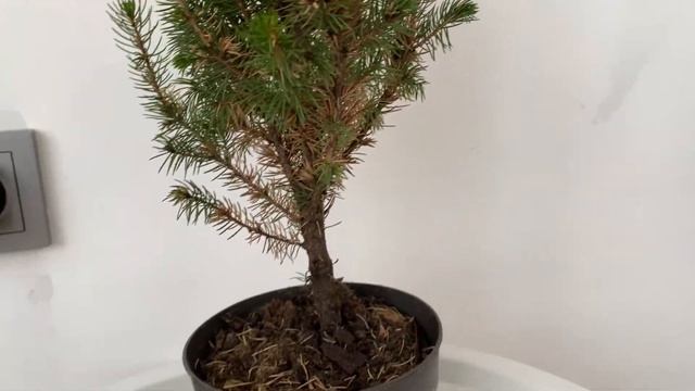 ПЕРЕДЕЛЫВАЮ ДЕКОР//РЕМОНТ//ПИЦЦА НА СКОВОРОДЕ//НОВЫЙ ЦИКЛОН смотреть онлайн