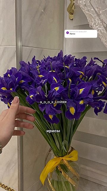 пишите свой вариант в комментариях #ирис #ирисы #цветы #irises #flowers #красота #комментарии смотреть онлайн