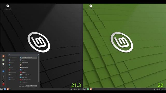 Linux Mint 21.3 vs Linux Mint 22: Can YOU tell the difference? 🍃 смотреть онлайн