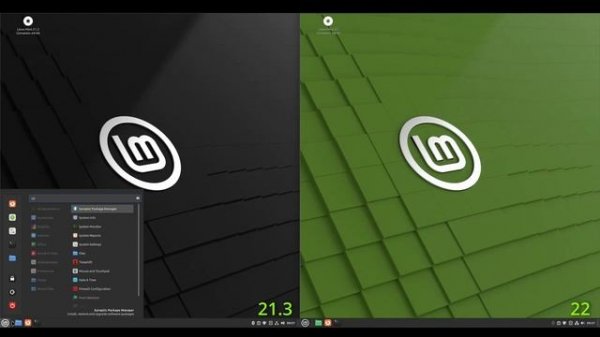 Linux Mint 21.3 vs Linux Mint 22: Can YOU tell the difference? 🍃