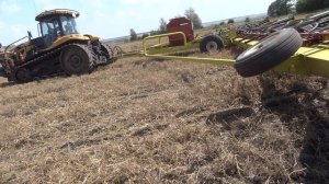 Борона Degelman по гороховой стерне, перед севом озимой пшеницы.