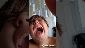 муха кусает