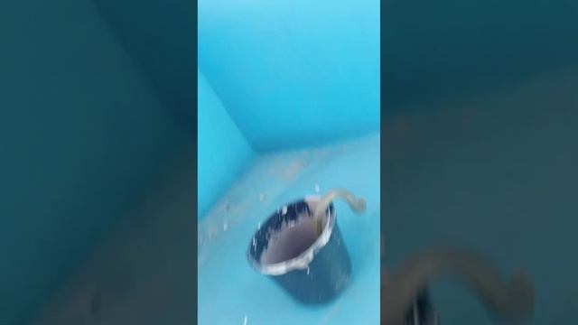 Операция по спасению Желтопузика:) смотреть онлайн
