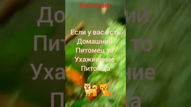 1 видео на конале про рыб смотреть онлайн