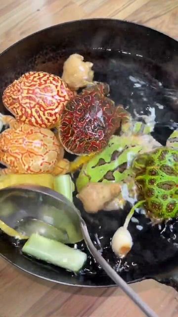 Pacman Frogs Eating every animal #short #asianbullfrogeatsbird #bullfrogvssnake #entertainment смотреть онлайн