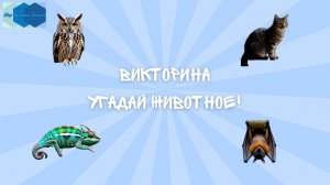 Викторина  "Угадай животное!" 🐈🐖🐬🐋🦉