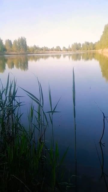 красота) смотреть онлайн