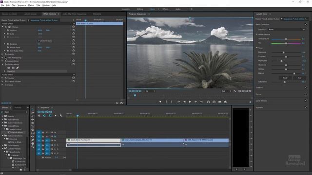 Super Stylized Black And White Video In Adobe Premiere Pro