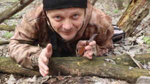 Сморчки в самых неожиданных местах