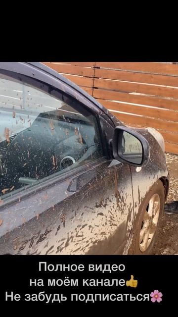 КЛАССНО ЖИТЬ В СВОЕМ ДОМЕ! ГОВОРИЛИ ОНИ.. #стройка #частныйдом #загороднаяжизнь смотреть онлайн