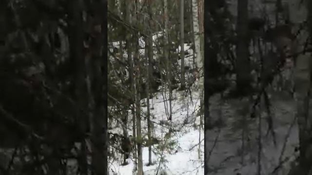 WhatsApp Video 2022 05 03 at 06 43 10 смотреть онлайн