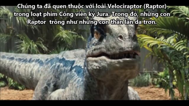 Phát hiện mới về lông vũ của các loài khủng long Anchiornis và Raptor смотреть онлайн