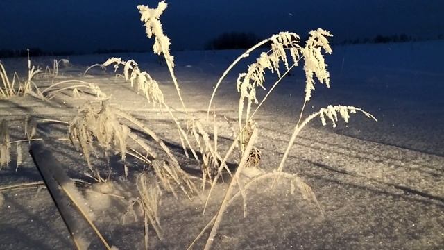 Вечер на поляне смотреть онлайн