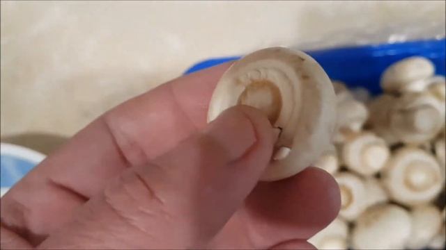 мясо с грибами в бальзамическом уксусе смотреть онлайн