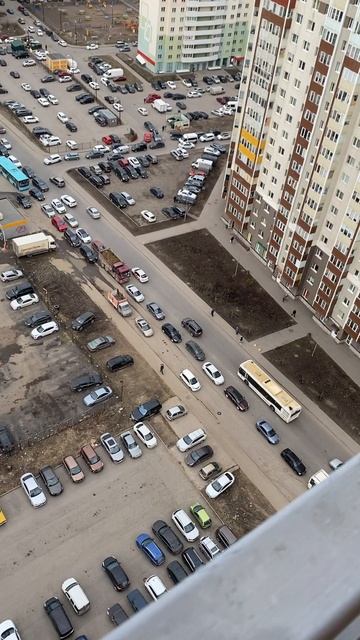 Гигантская пробка в Шушарах. Как добраться до работы часть 1 смотреть онлайн