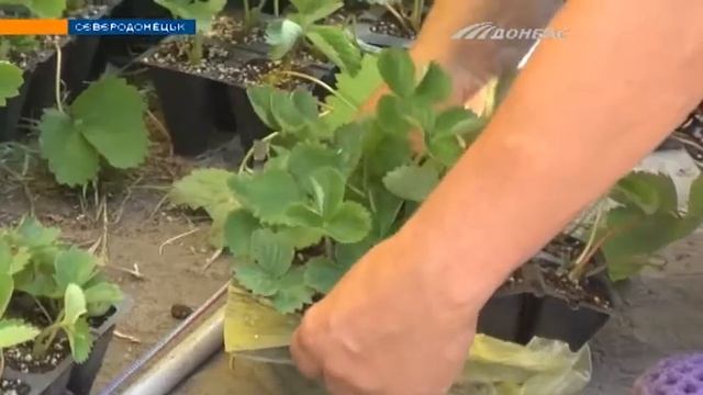 Торговля без продавца - новый социальный проект смотреть онлайн