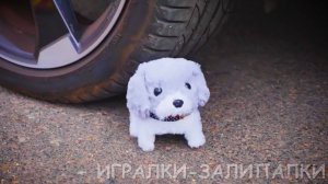 ВИДЕО ДЛЯ ДЕТЕЙ С ИГРУШКАМИ ДЕТСКИЙ КАНАЛ ИГРАЛКИ-ЗАЛИПАЛКИ 3