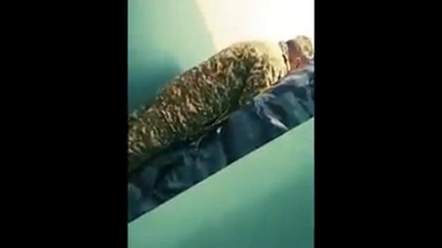 Возвращённые из России мигранты жалуются на условия обсервации в Таласе смотреть онлайн