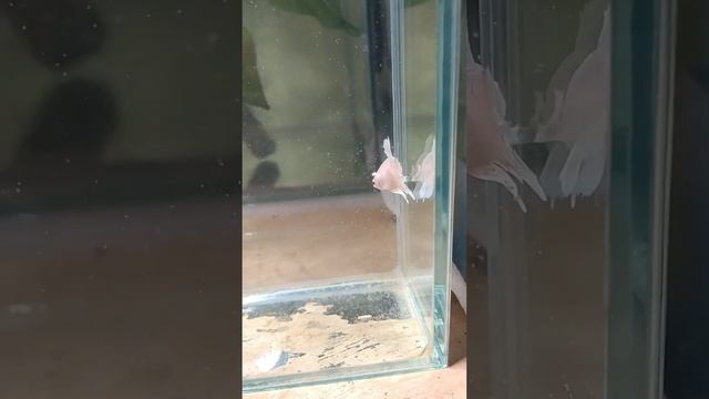 4 ноября 2022 г. смотреть онлайн