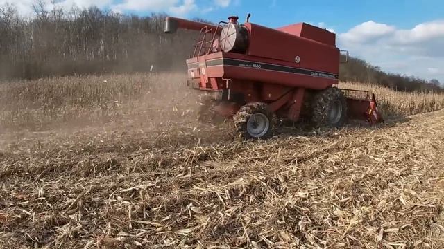 10 04 Молотим кукурузу CASE 1660 Маз 5551 застряли смотреть онлайн