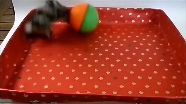 Игрушка для собак и кошек. смотреть онлайн