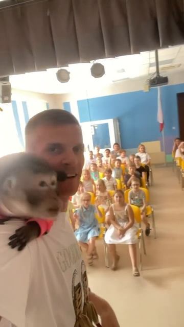 Гимназия 3 Самара #гимназия #обезьянка #monkey #макака #дети #cute #funny #животные #babymonkey смотреть онлайн