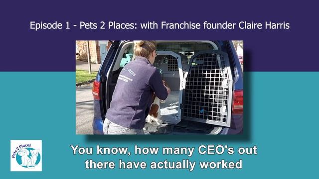 Building a Pet Taxi Business, Episode 1 смотреть онлайн