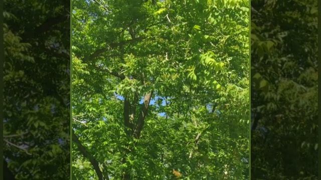 Я путешествую. Екатеринбург смотреть онлайн