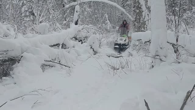 Чуть не утопил БУРАН. Лосиные солонцы. смотреть онлайн