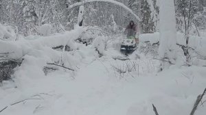 Чуть не утопил БУРАН. Лосиные солонцы.