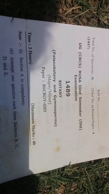 Palaeobotany and Gymnosperm Questions paper смотреть онлайн