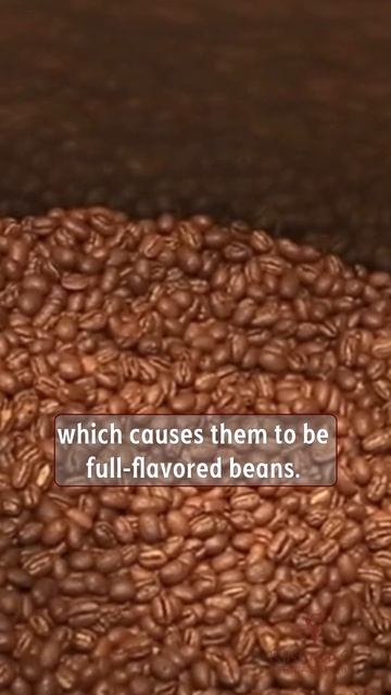 Did you know that Ugandan coffee has been ranked the world's 3rd best? смотреть онлайн