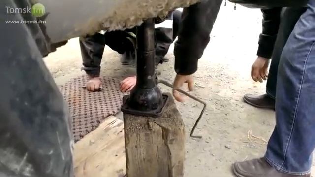 Кот застрял в пружине смотреть онлайн