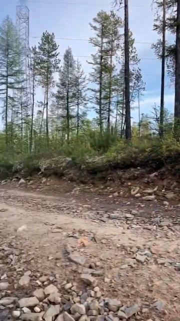 После погони за диким оленем смотреть онлайн