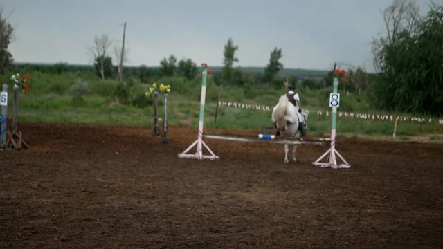соревнования конкур КСК Пегас смотреть онлайн