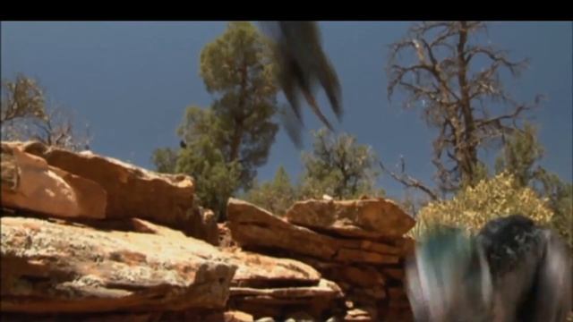 Jurassic Fight Club - Deinonychus antirrhopus смотреть онлайн