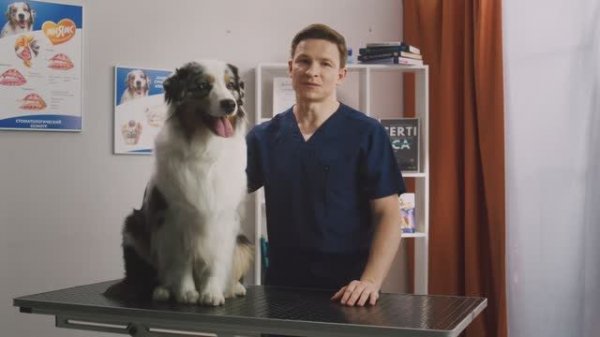 Рекламный ролик для бренда Мнямс. Линия Дентал