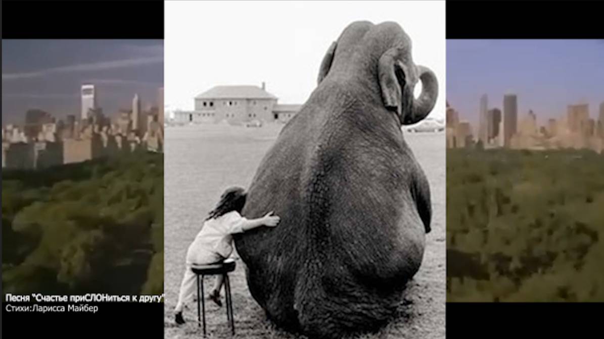 Песня "Счастье приСЛОНиться к другу". Стихи: Ларисса Майбер /Larissa Maiber/. Музыка, вокал: ИИ.