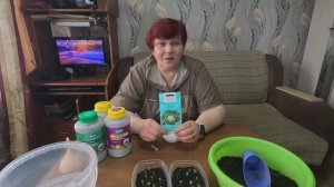 Посев Ранней Капусты на рассаду!! 100% всхожесть Брокколи!!