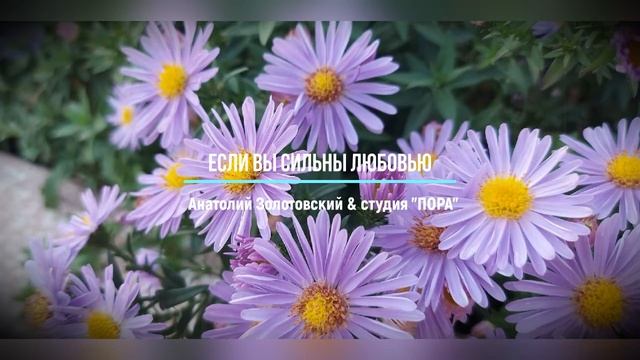 ЕСЛИ ВЫ СИЛЬНЫ ЛЮБОВЬЮ смотреть онлайн