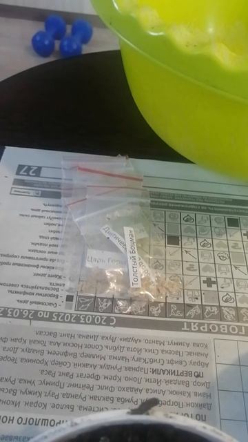 Начало летнего сезона🫡