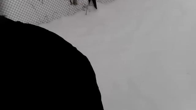 Коптильня холодного копчения за час! Результат!