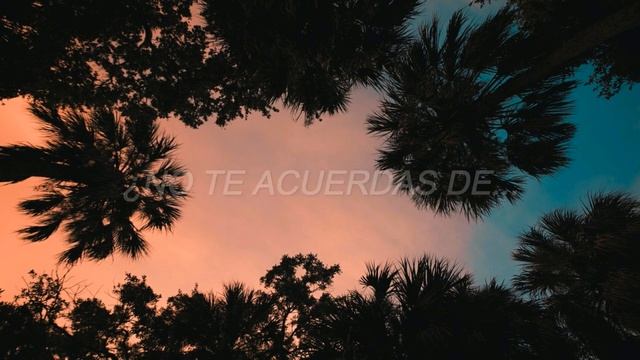 Gryffin & ZOHARA - Remember // Sub Español смотреть онлайн