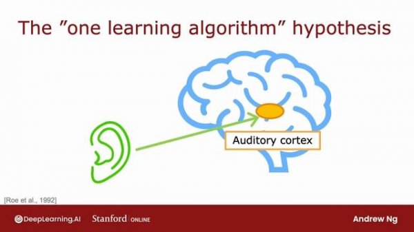 13.[RUS ИИ Перевод] Is there a path to AGI — Есть ли путь к ИИ как у человека (AGI)?