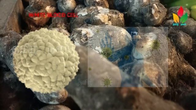 இதுல "இவ்வளவு" இருக்கு!!! யாரெல்லாம் சாப்பிடக்கூடாது? தெருஞ்சுகுங்க. смотреть онлайн